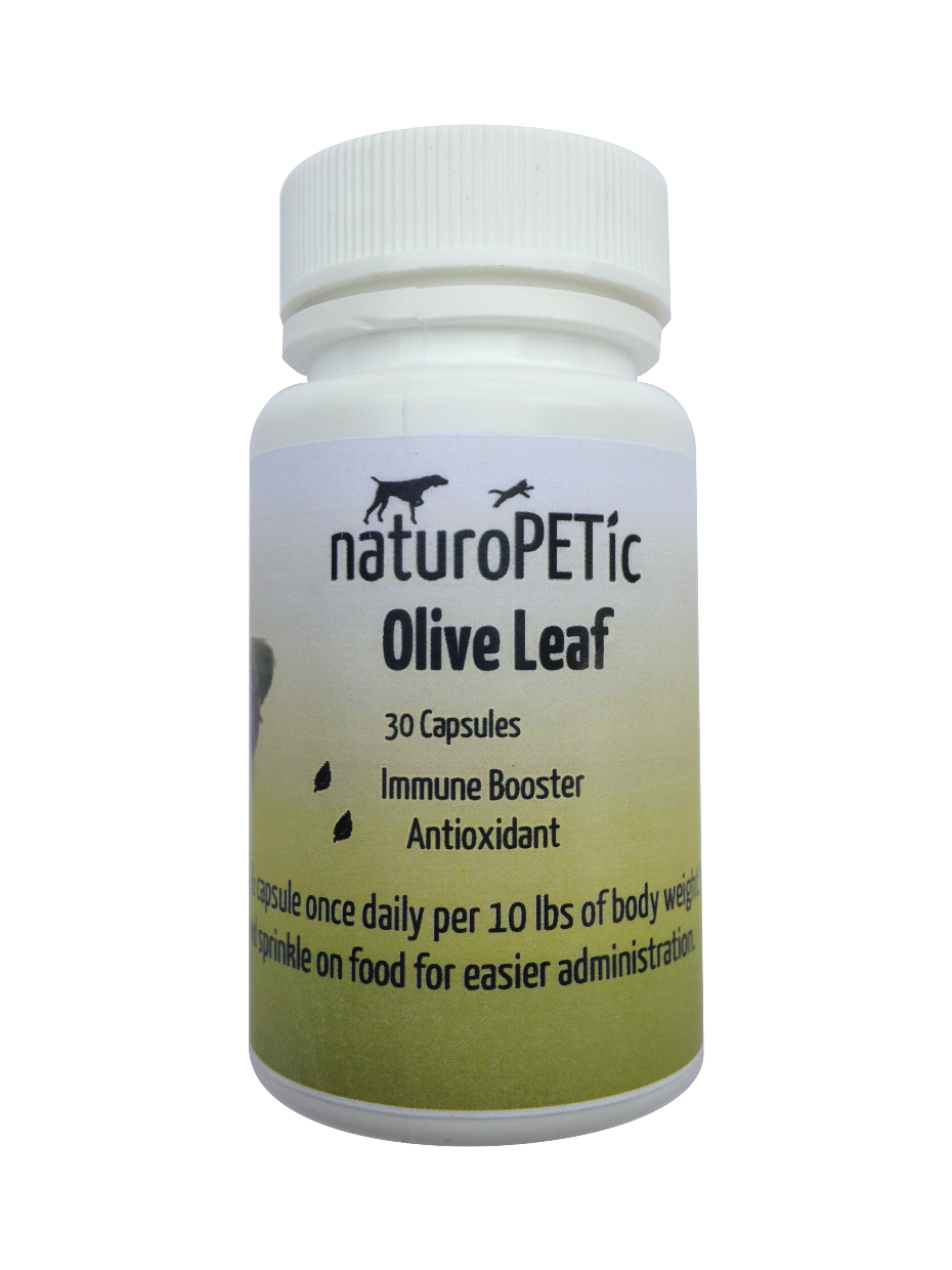 Olive Leaf – naturoPETic